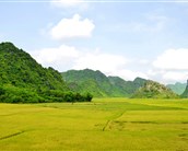 Vietnam