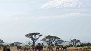 Safari s pobytem u moře - Amboseli Serena Lodge, NP Amboseli