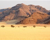 Namibie