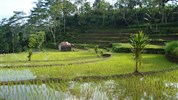 Na skok na Bali a Lombok