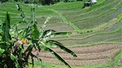 Na skok na Bali a Lombok