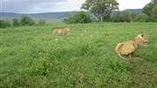 Safari s pobytem na Zanzibaru