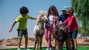 The Ritz-Carlton Ras Al Khaimah (Al Wadi Desert)