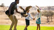 The Ritz-Carlton Ras Al Khaimah (Al Wadi Desert)
