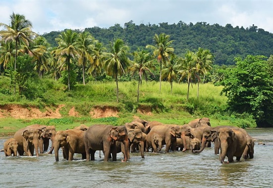 Srí Lanka