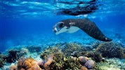 Furaveri Island Resort & Spa