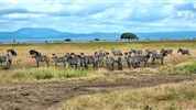 Pobyt na Zanzibaru s jednodenním safari